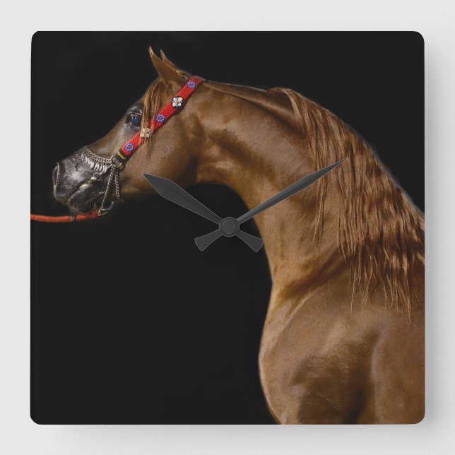 Chestnut Arabian Show Horse Clock (Front)
