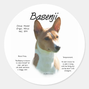 Chestnut Basenji History Design, All about Basenji Classic Round Sticker