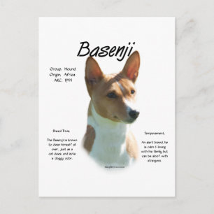 Chestnut Basenji History Design, All about Basenji Postcard