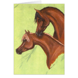 Chestnut & Bay Arabians