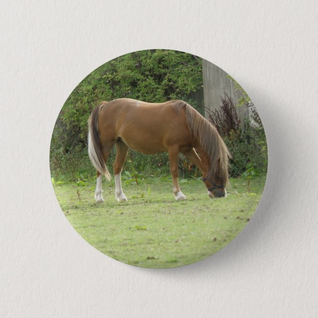 Chestnut Brown Horse Grazing Button (Front)