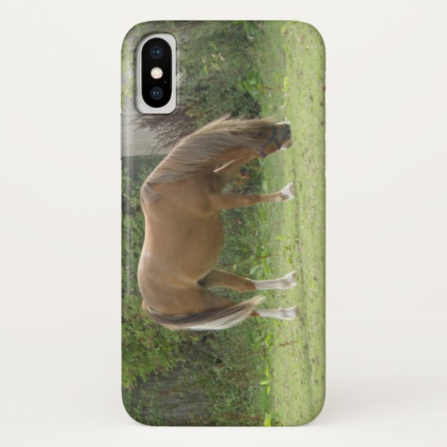 Chestnut Brown Horse Grazing iPhone Case (Back)
