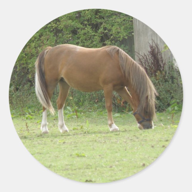Chestnut Brown Horse Grazing Sticker (Front)
