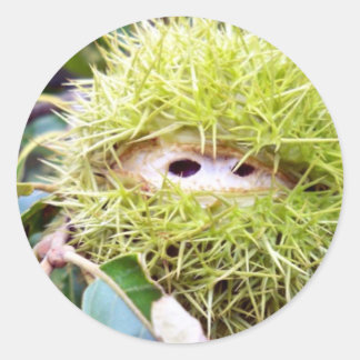 Chestnut Classic Round Sticker