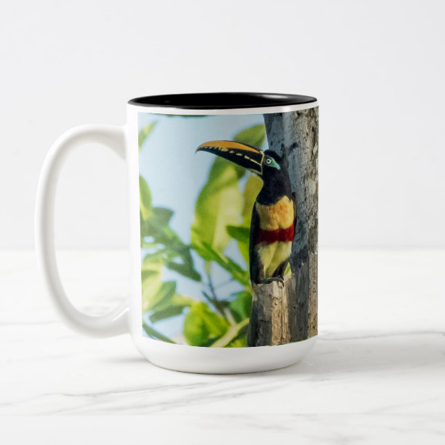Chestnut-eared Aracari Large Mug (Left)