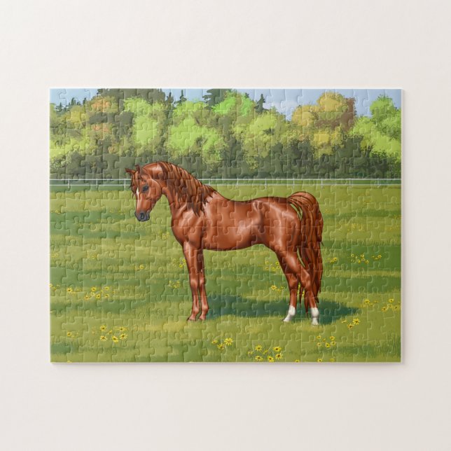 Chestnut Egyptian Arabian Horse in Spring Pasture Jigsaw Puzzle (Horizontal)