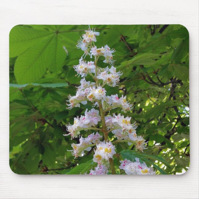 chestnut flower mouse pad (Front)