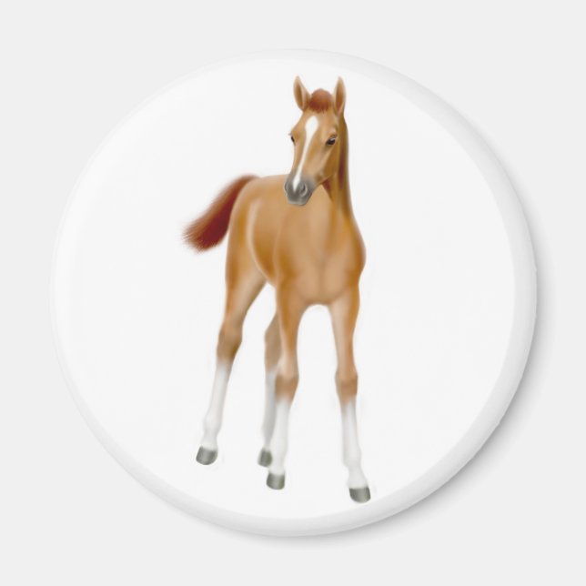 Chestnut Foal Magnet (Front)