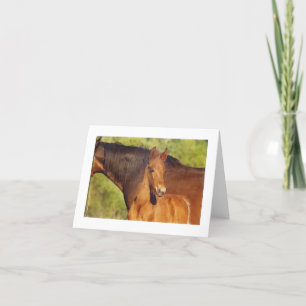 Chestnut foal note card