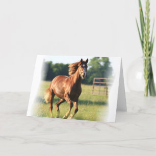 Chestnut Galloping Horse Greeting Card