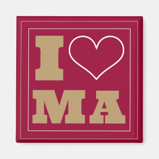 Chestnut Hill (MA) Watch Party Fridge Magnet