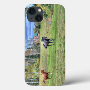 Chestnut Horse Chasing a Black Stallion on a Ranch iPhone 13 Case
