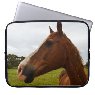 Chestnut Horse Chocolate, Laptop Sleeve