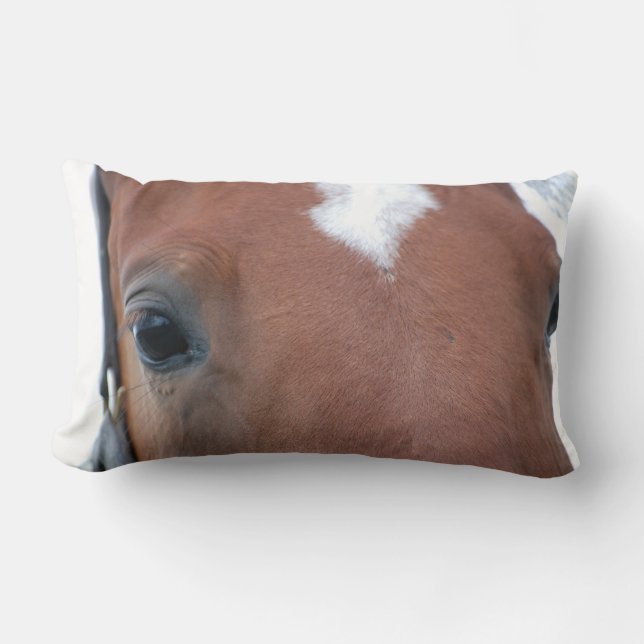 Chestnut Horse Close-up Lumbar Cushion (Front)