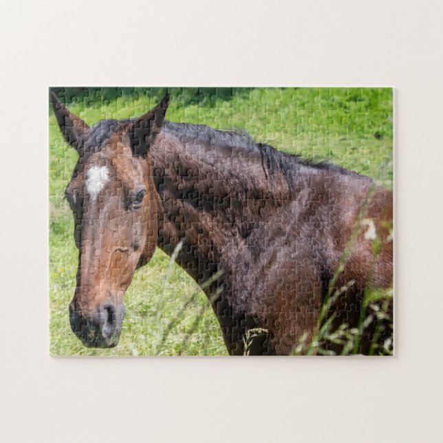 Chestnut Horse Closeup Jigsaw Puzzle (Horizontal)