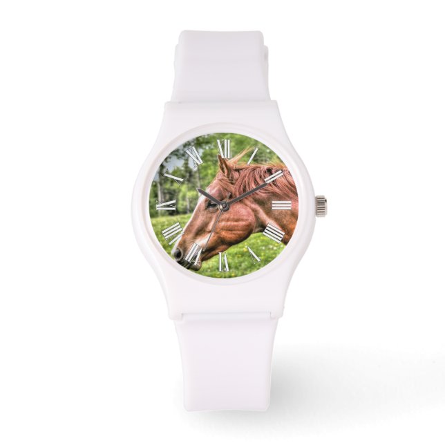 Chestnut Horse Head Photo Portrait Watch (Front)