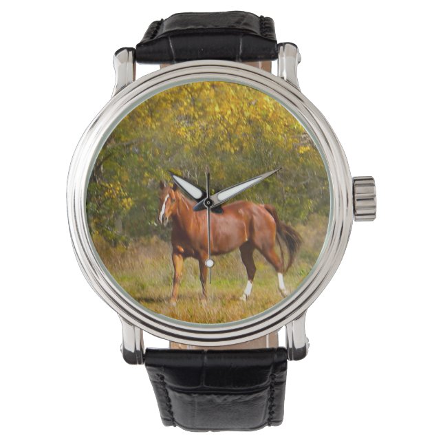 Chestnut Horse in Fall Watch (Front)