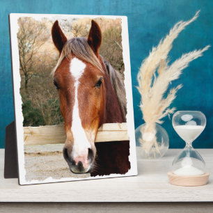 CHESTNUT HORSE PLAQUE