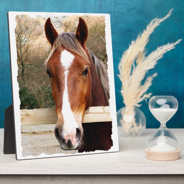 CHESTNUT HORSE PLAQUE (Side)