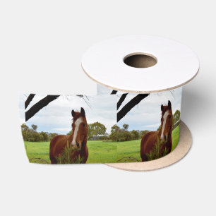 Chestnut Horse Sniff, Satin Ribbon