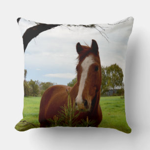 Chestnut Horse Sniffing A Banksia Tree, Cushion