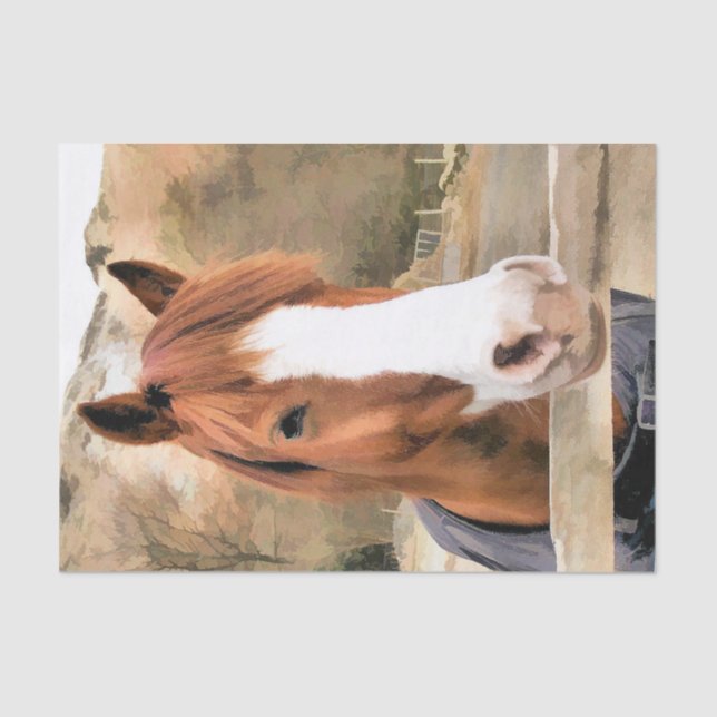 CHESTNUT HORSE TISSUE PAPER (Front)
