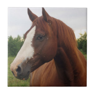 Chestnut Horse with Blaze Tile