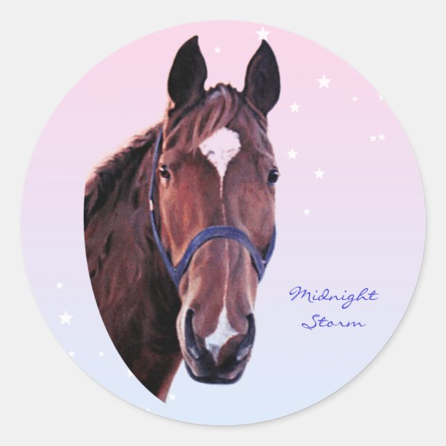 Chestnut Horse with White Star Classic Round Sticker (Front)