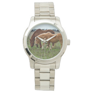 Chestnut Mare And Foal, Watch