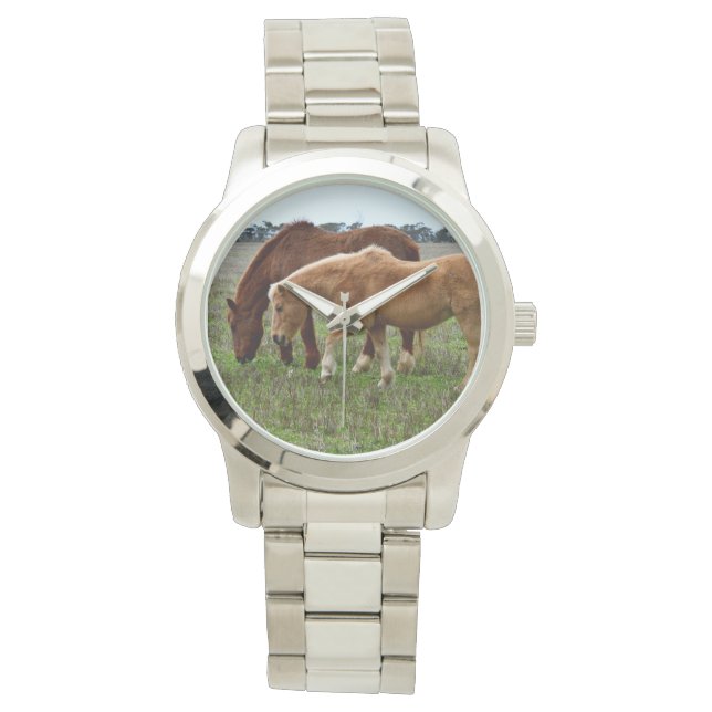 Chestnut Mare And Foal, Watch (Front)