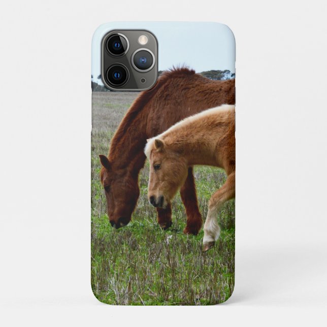 Chestnut Mare And Palomino Foal, Case-Mate iPhone Case (Back)
