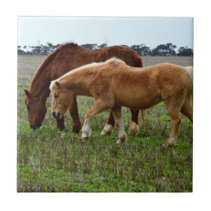 Chestnut Mare And Palomino Foal, Ceramic Tile