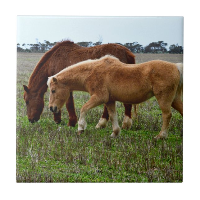 Chestnut Mare And Palomino Foal, Ceramic Tile (Front)