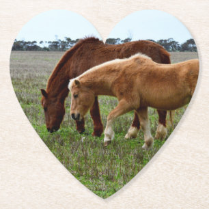 Chestnut Mare And Palomino Foal, Paper Coaster