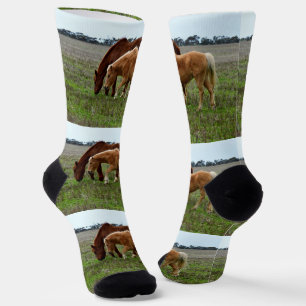 Chestnut Mare And Palomino Foal, Socks