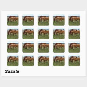 Chestnut Mare And Palomino Foal, Square Sticker