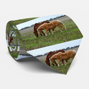 Chestnut Mare And Palomino Foal, Tie
