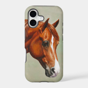 Chestnut Morgan Horse