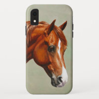 Chestnut Morgan Horse