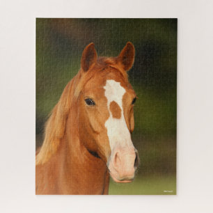 Chestnut Oldenburg Cross Welsh Headshot Jigsaw Puzzle