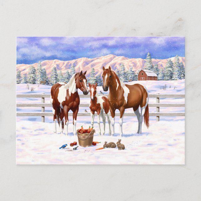 Chestnut Pinto Sorrel Paint Quarter Horses In Snow Postcard (Front)