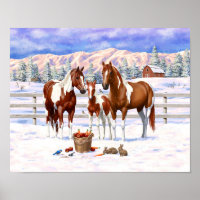 Chestnut Pinto Sorrel Paint Quarter Horses Winter