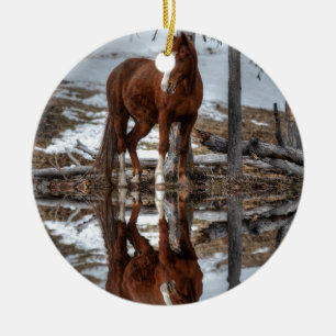 Chestnut Ranch Horse and Pond Reflection Ceramic Tree Decoration