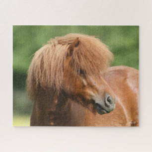Chestnut Shetland Pony Stallion Headshot Jigsaw Puzzle
