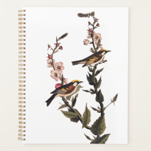 Chestnut-Sided Warbler Audubon Bird on Wildflower Planner
