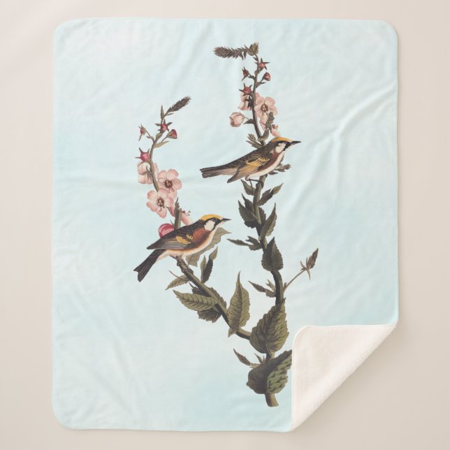 Chestnut-Sided Warbler Audubon Bird on Wildflower Sherpa Blanket (Front)