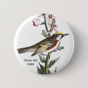 Chestnut-sided Warbler, Audubon, Birdwatcher Bird 6 Cm Round Badge