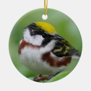 Chestnut-sided warbler ceramic ornament