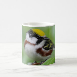 Chestnut-Sided Warbler Coffee Mug