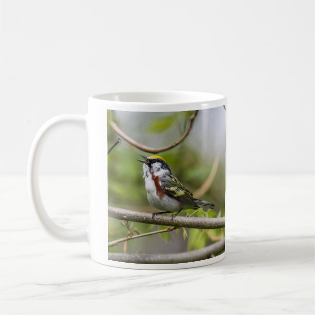 Chestnut-sided Warbler Coffee Mug (Left)